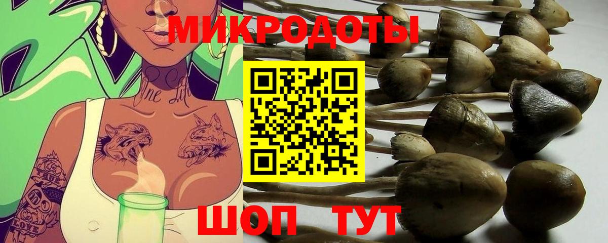 Жуковский  Галлюциногенные грибы Psilocybine cubensis  Вход с VPN 