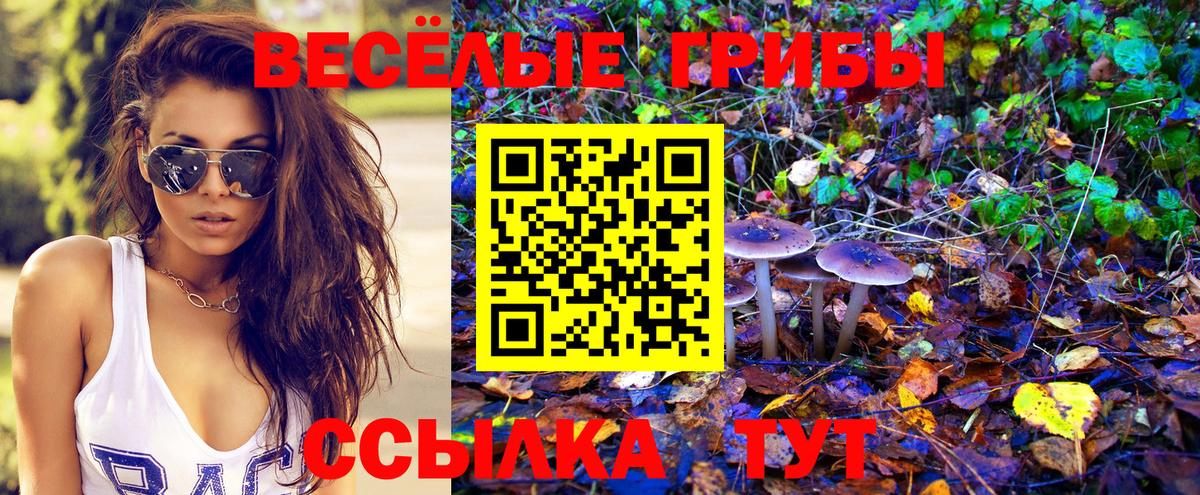 МДМА Жуковский